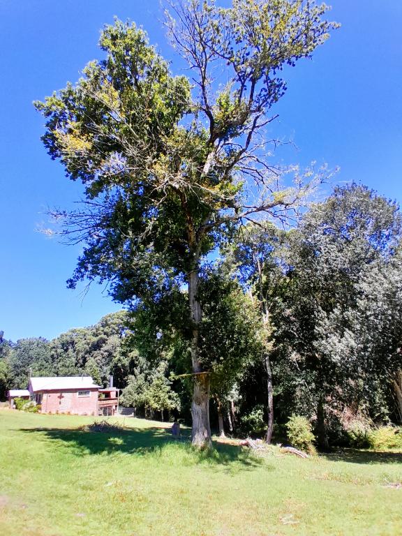 36 Bedroom Property for Sale in Harkerville A H Western Cape